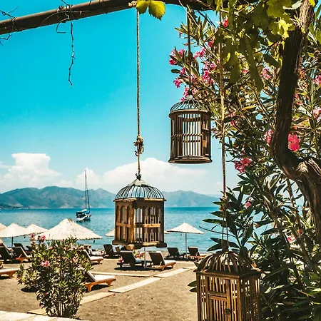 酒店 Florya Kumlubuek